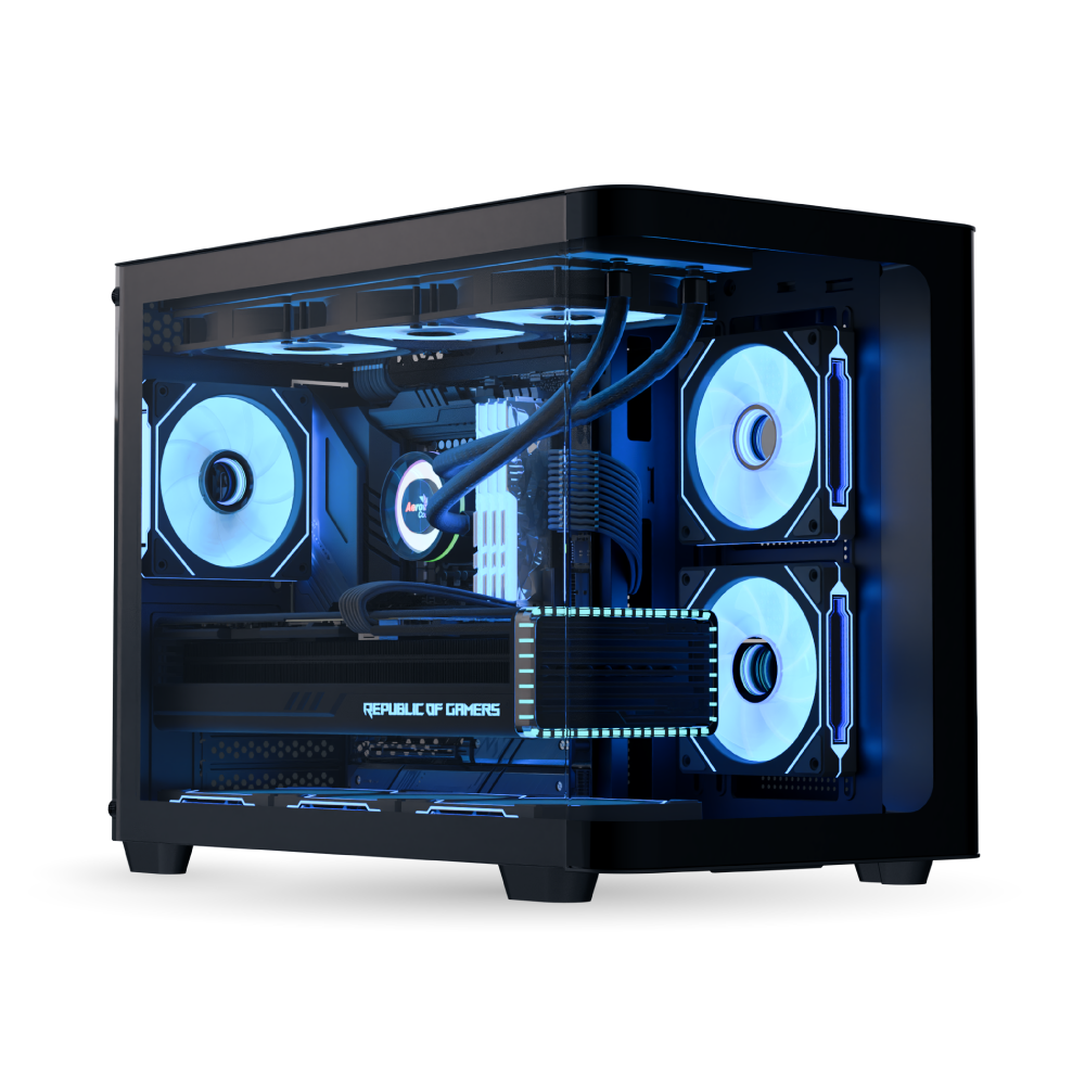 P300C-bk-infographics-1-1